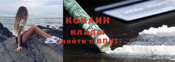 индика Краснотурьинск