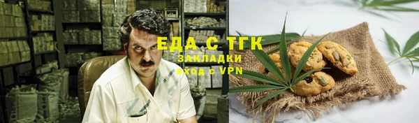 индика Краснотурьинск