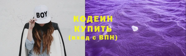 индика Краснотурьинск
