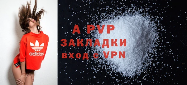 индика Краснотурьинск