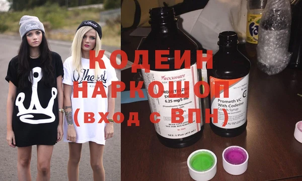 индика Краснотурьинск