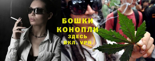индика Краснотурьинск