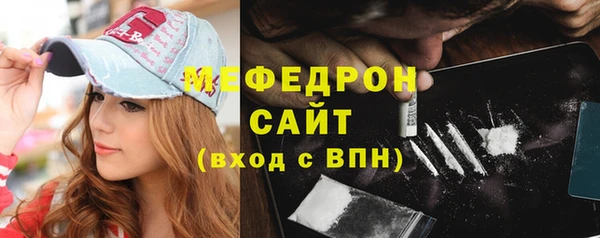 индика Краснотурьинск