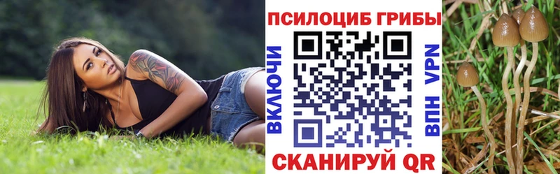 shop как зайти  Невинномысск  Галлюциногенные грибы мухоморы 